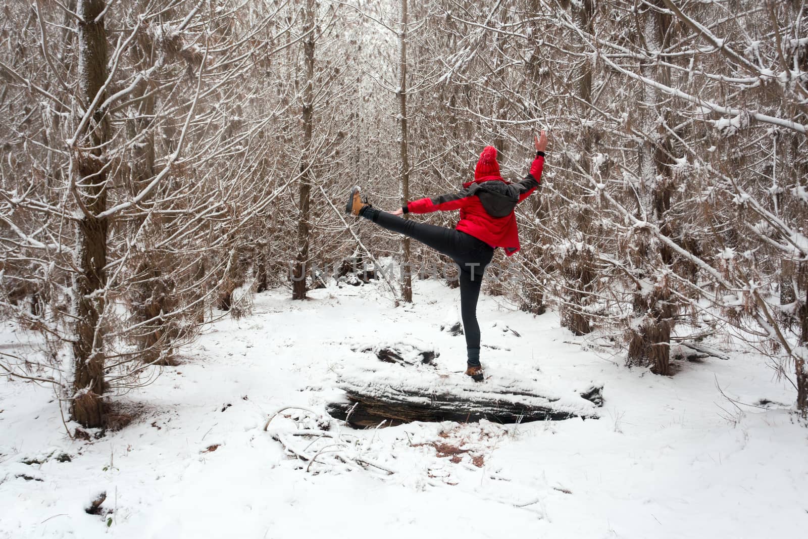 One way to stay warm in freezing temperatures.  Exercising and stretching in the snow while balancing on a snow covered log!  Adventuring out into the  pine forests during winter with fresh snow fall.