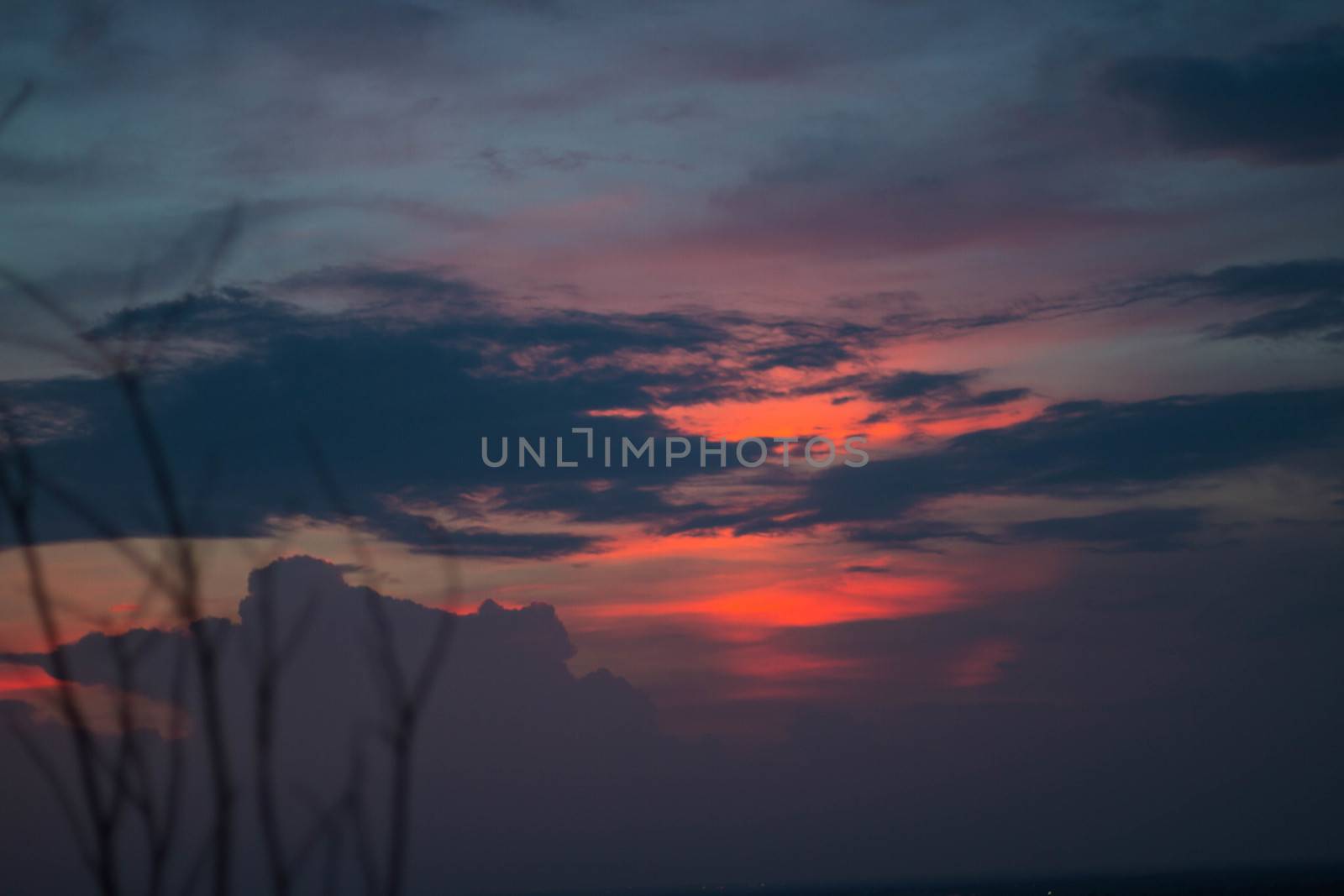 Beautiful silhouette of tree branches against the sky at sunset makes the sky is blue, orange, sparkling