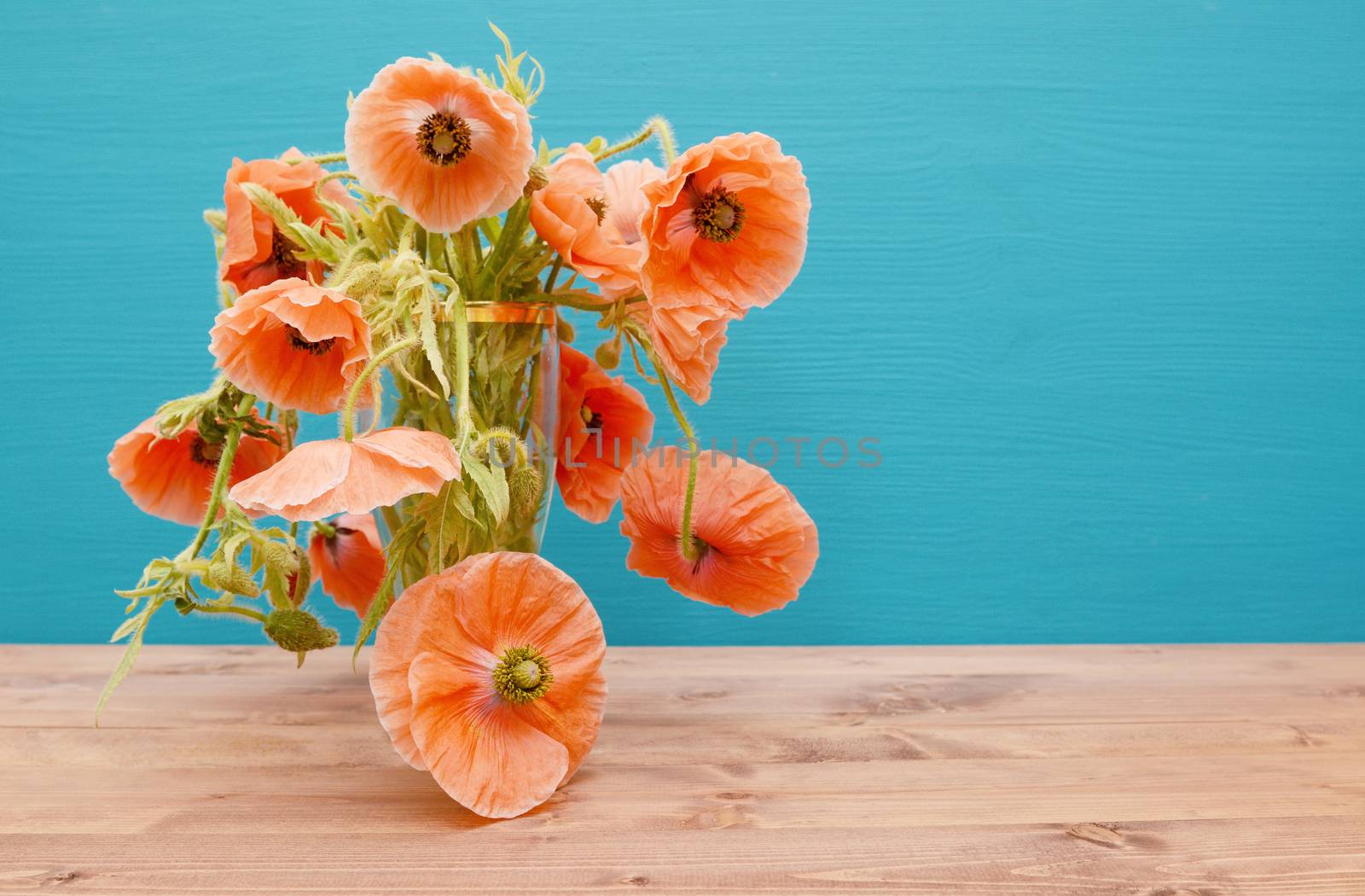 Numerous beautiful cut pink poppies with long winding stems by sarahdoow