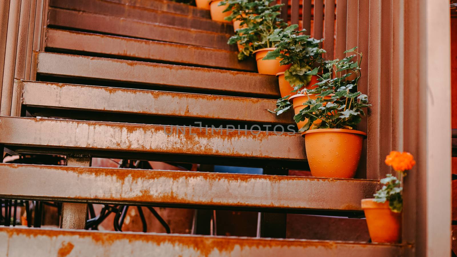 Closeup of railing and steps with flowers in the old red courtyard. Minsk Belarus