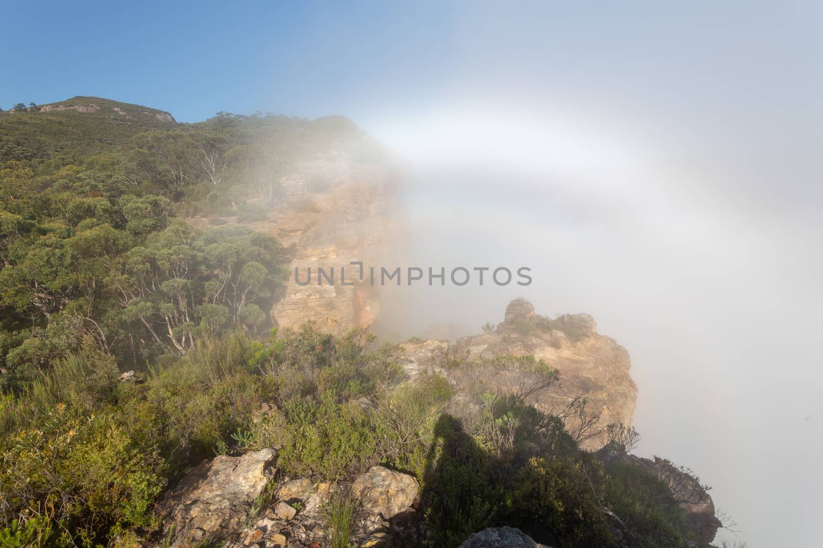 Fobgow in Blue Mountains with the rising mist and fog from the valley.  Phenomena known as a fogbow forms when sun hits tiny water droplets in the fog.  Fogbows are sometimes called ghost rainbows 