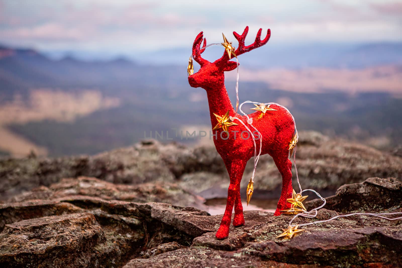 Glittery red Christmas decoration and gold star lights in a Blue Mountains landscape cene
