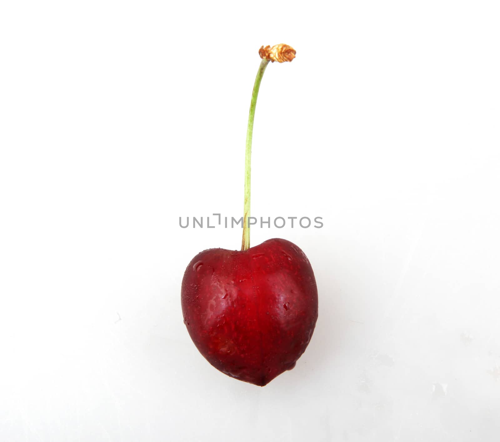 Closeup Of Ripe Cherry On White Background by nenovbrothers