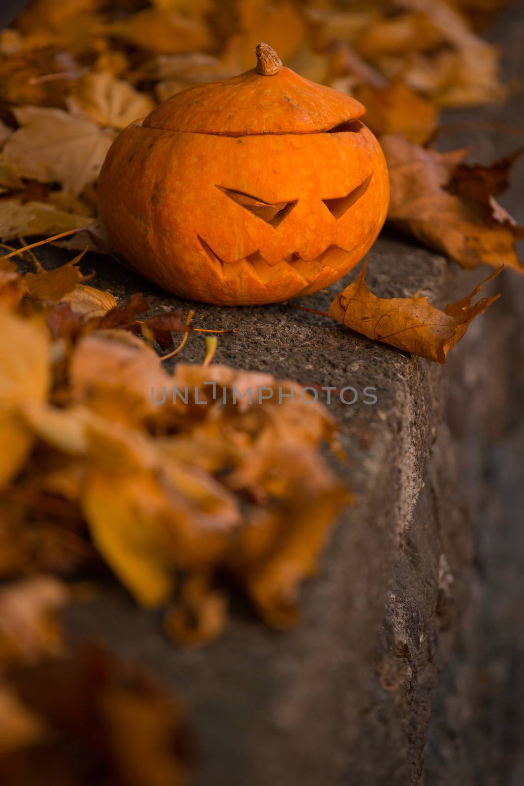 Orange halloween pumpkin on the cemetery fence with orange maple leaves