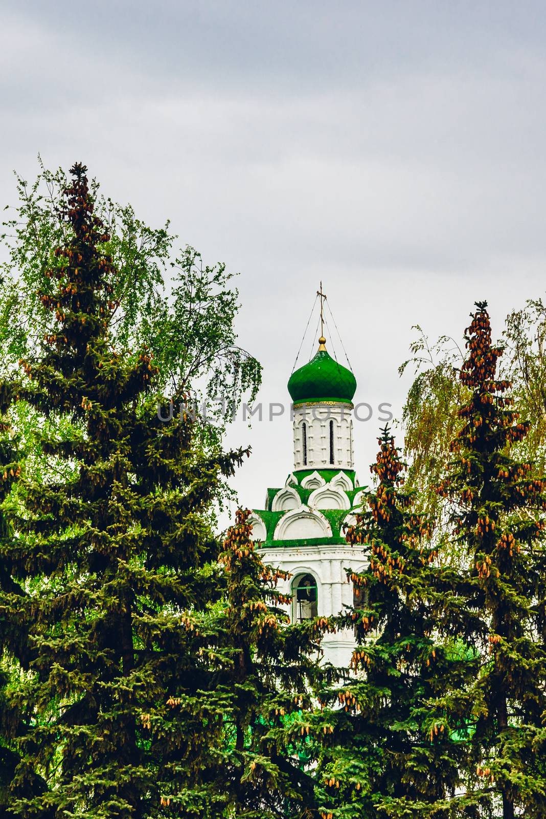 Beautiful Church of St. John the Baptist Monastery between Fir Trees. Kaxan, Russia.