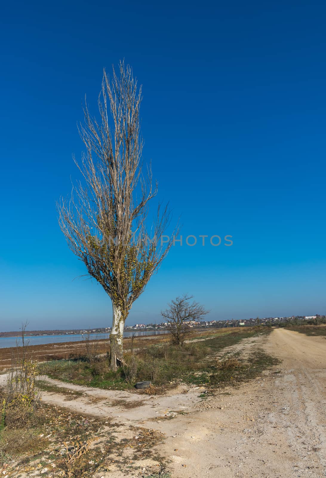 Koblevo, Ukraine - 10.11. 2019.  Deserted autumn beach at the Black Sea resort in the village of Koblevo, Ukraine