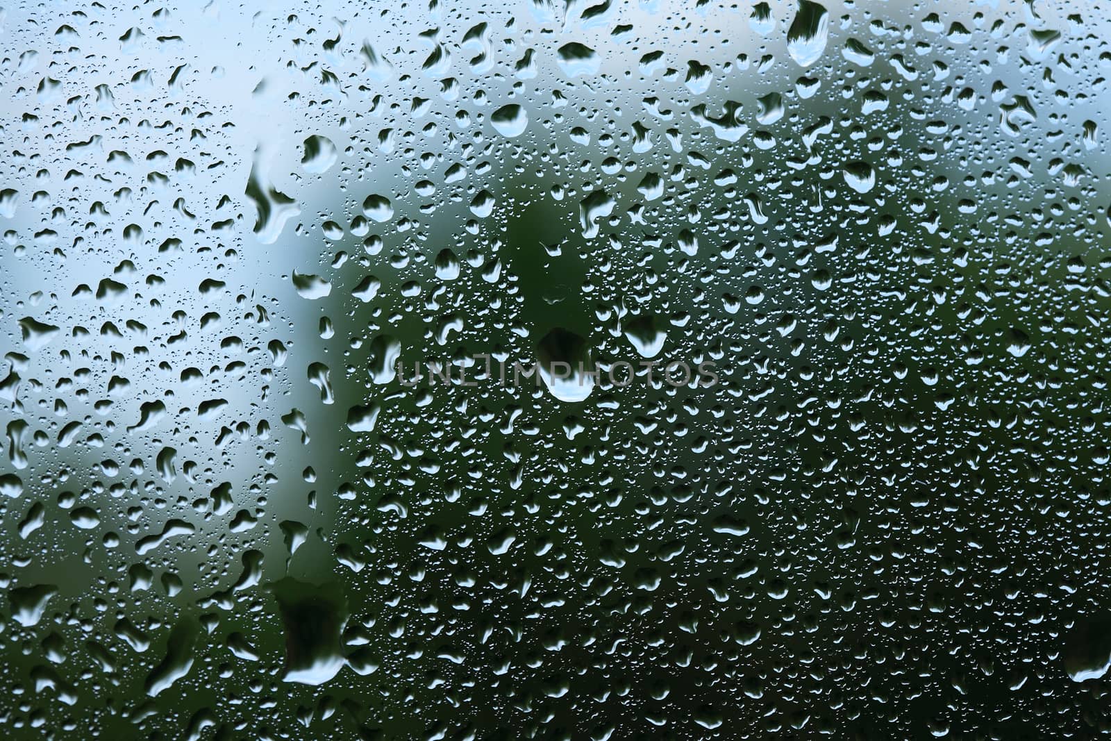 Weather concept. Rain drops on window glass