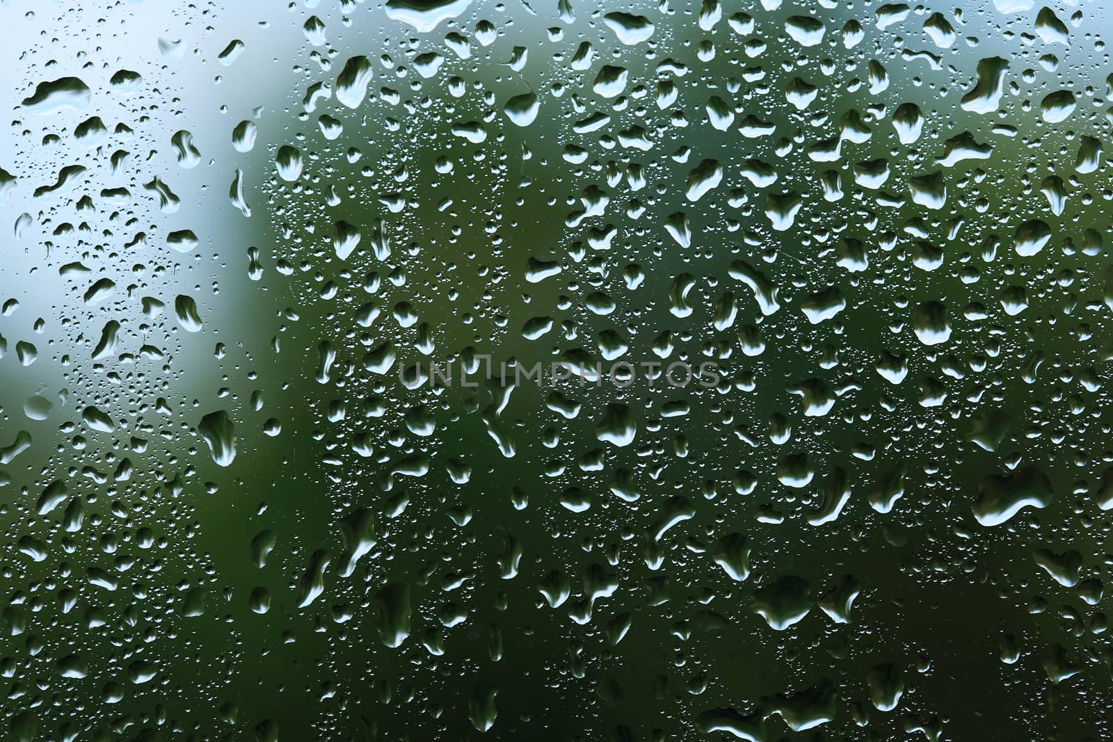 Weather concept. Rain drops on window glass