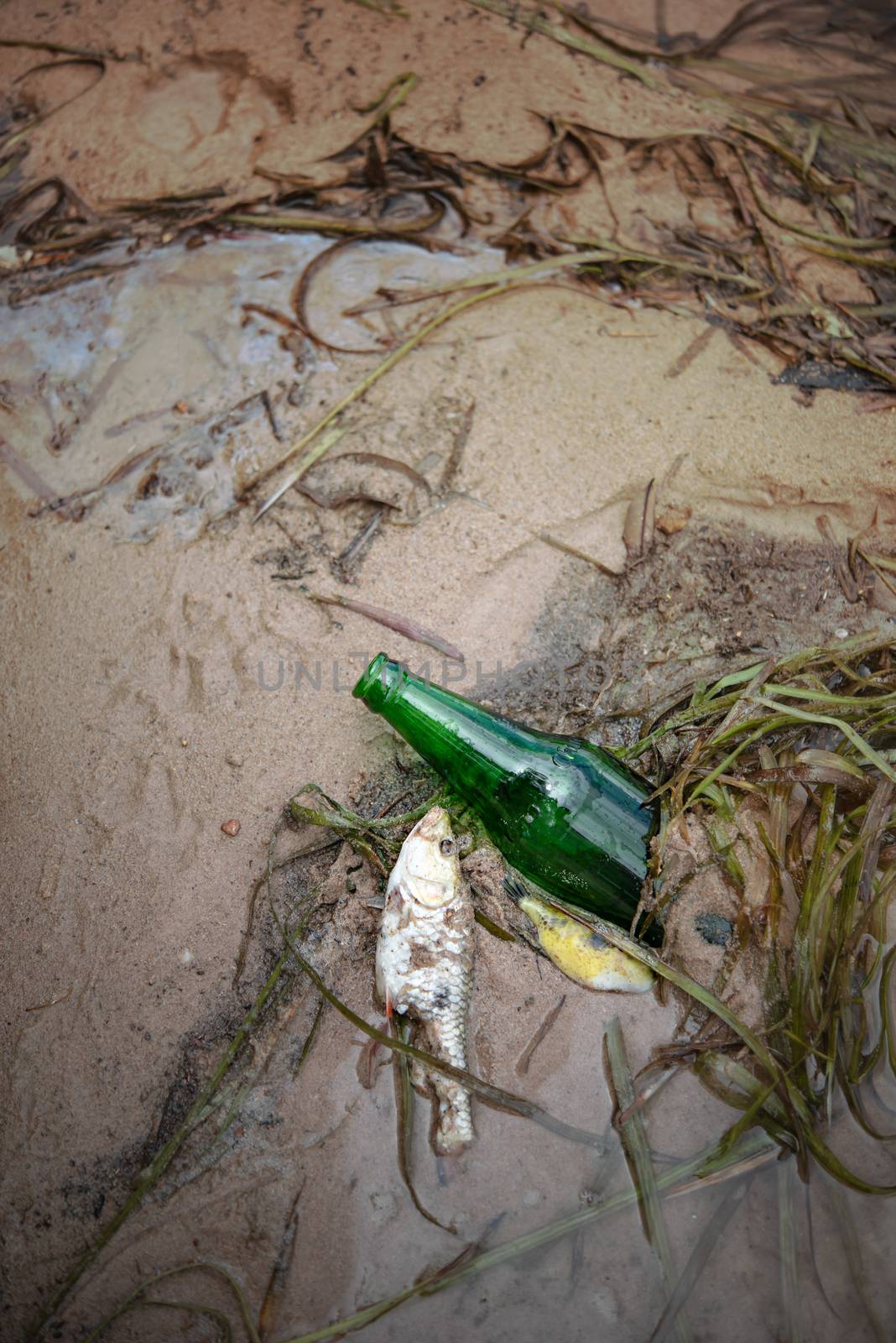 Bottle Scrap pollution in the water , environment protection concepts . Selective focus