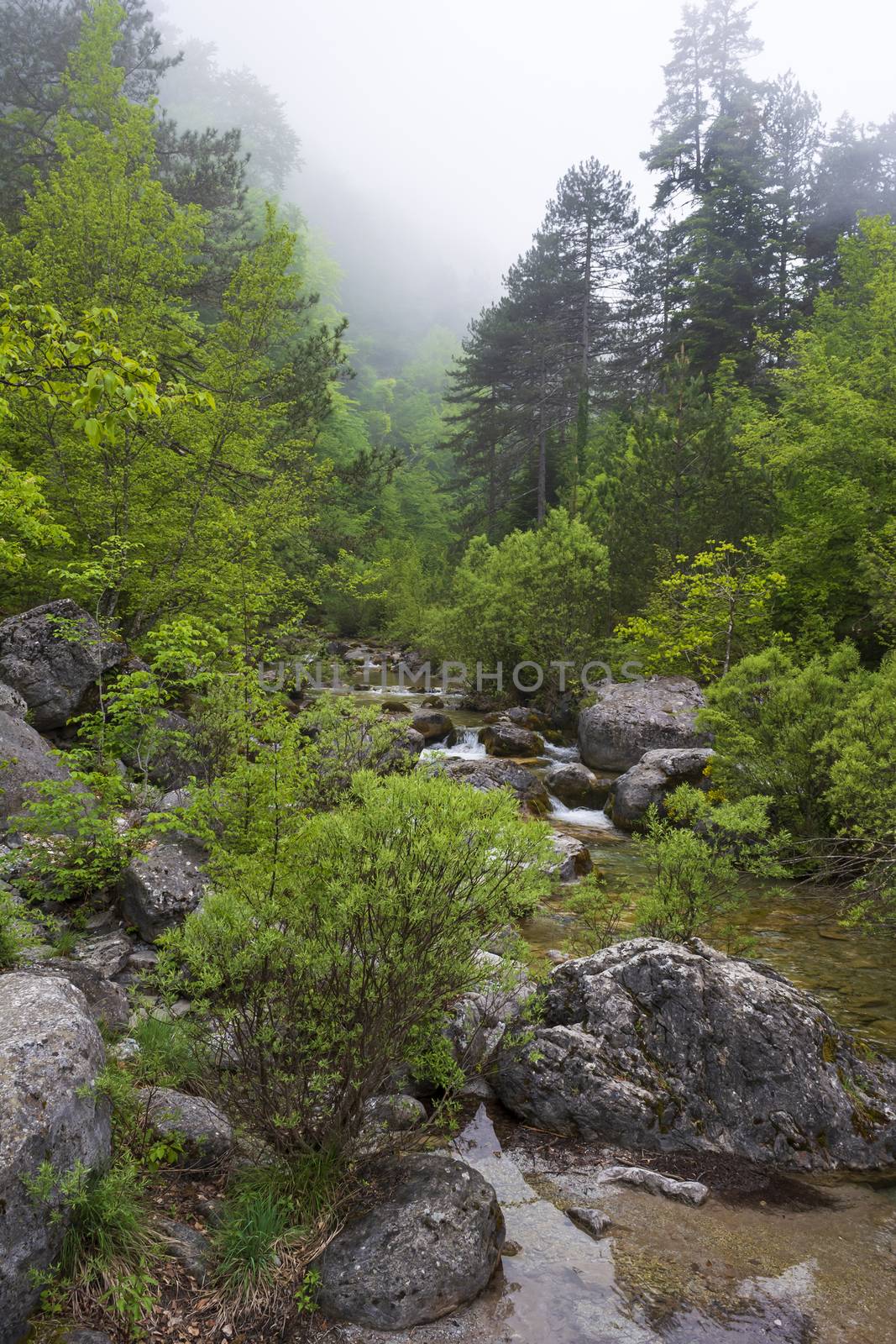 Stream at Olympus mountain, Greece by ankarb