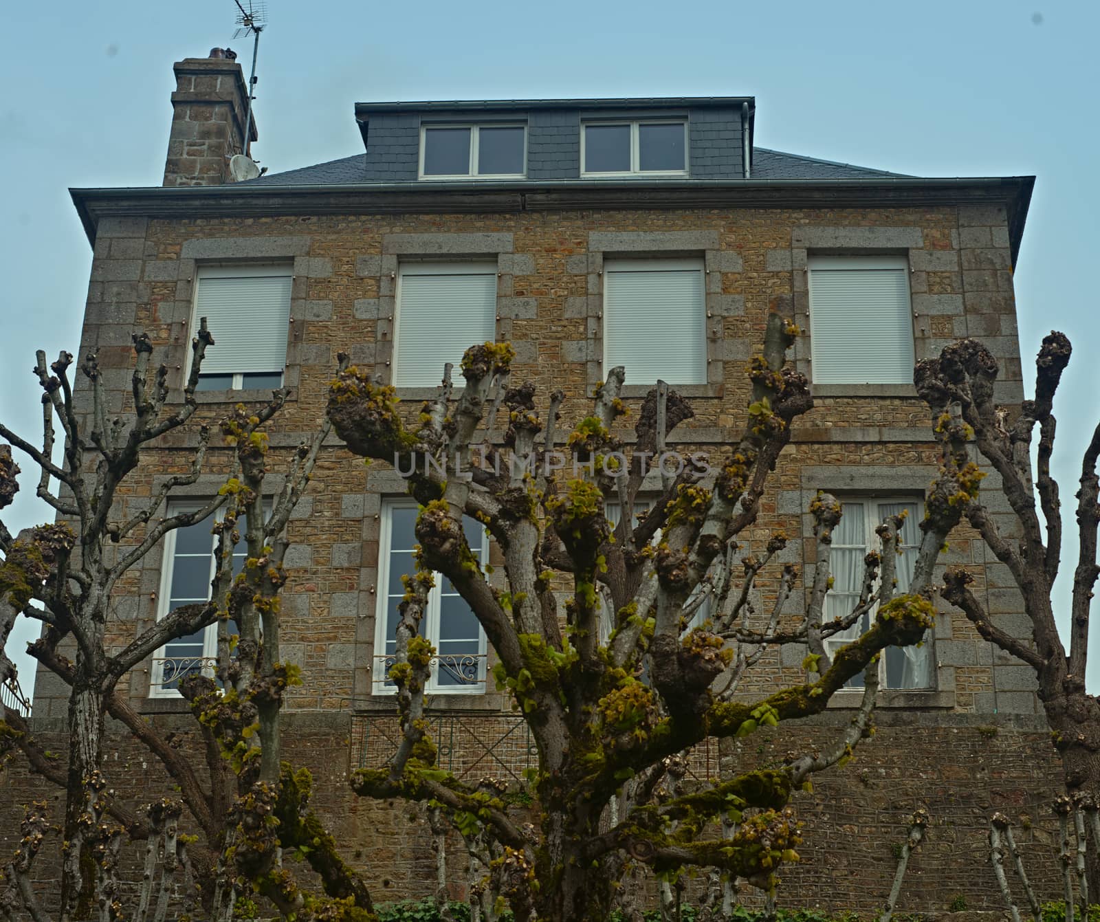 Big stone house with lot of windows and trees in front