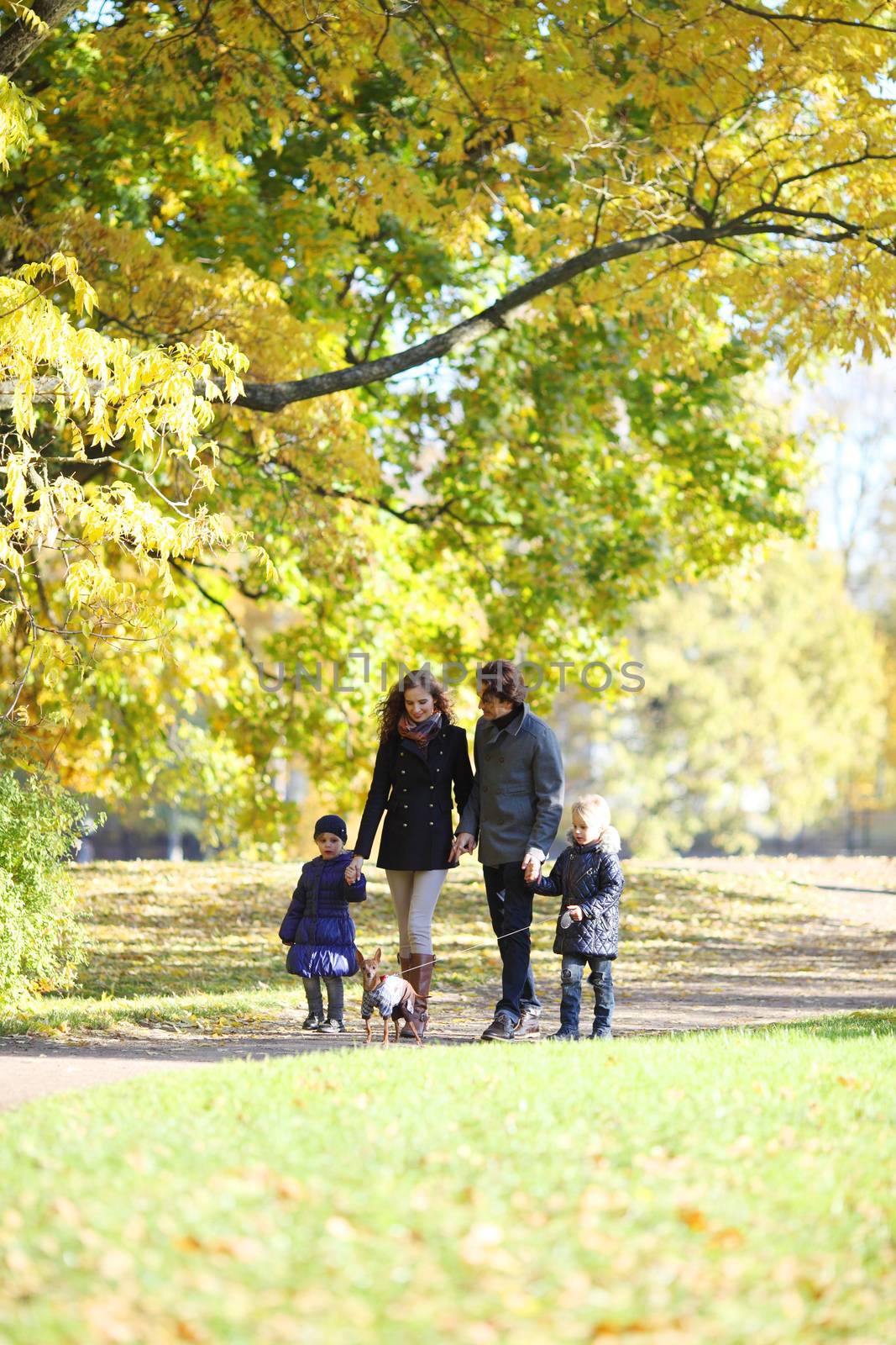 Happy family with two children walking in sunny autumn park holding hands