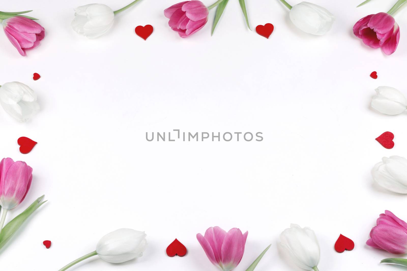 Pink and white tulip flowers and hearts over white background border frame with copy space isolated on white Valentines day concept