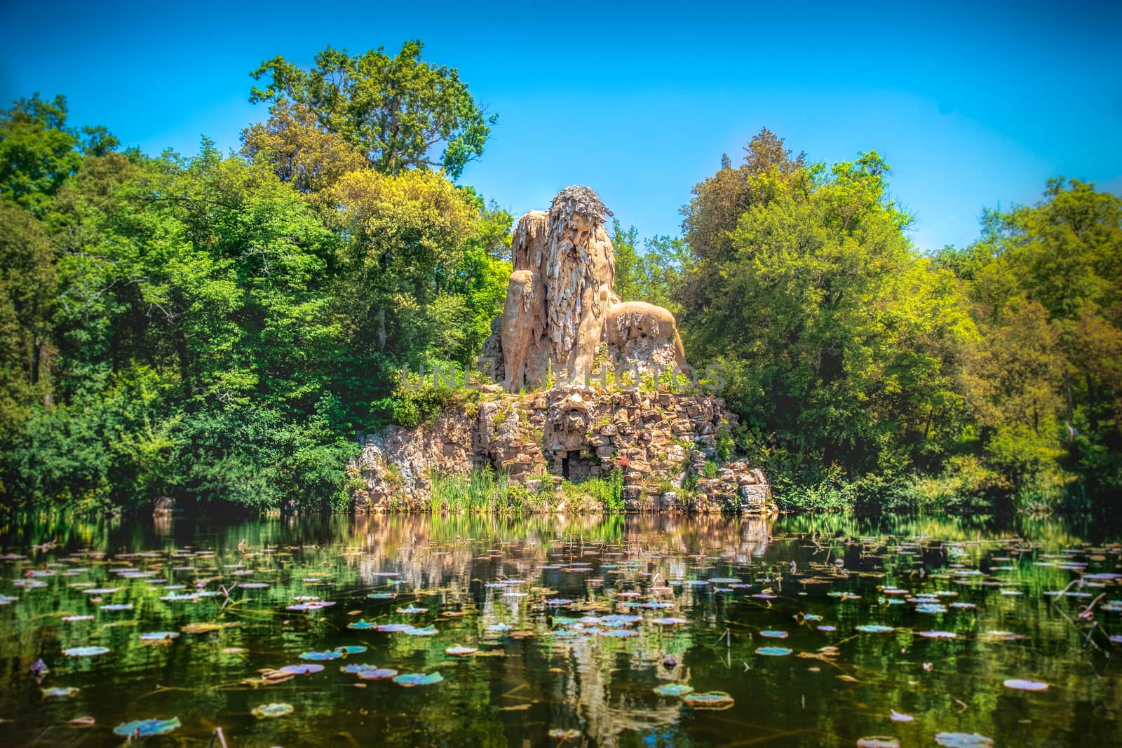 Villa Demidoff Pratolino park and the Colosso del Appennino colossus statue with pond full of waterlilies and leaves by LucaLorenzelli