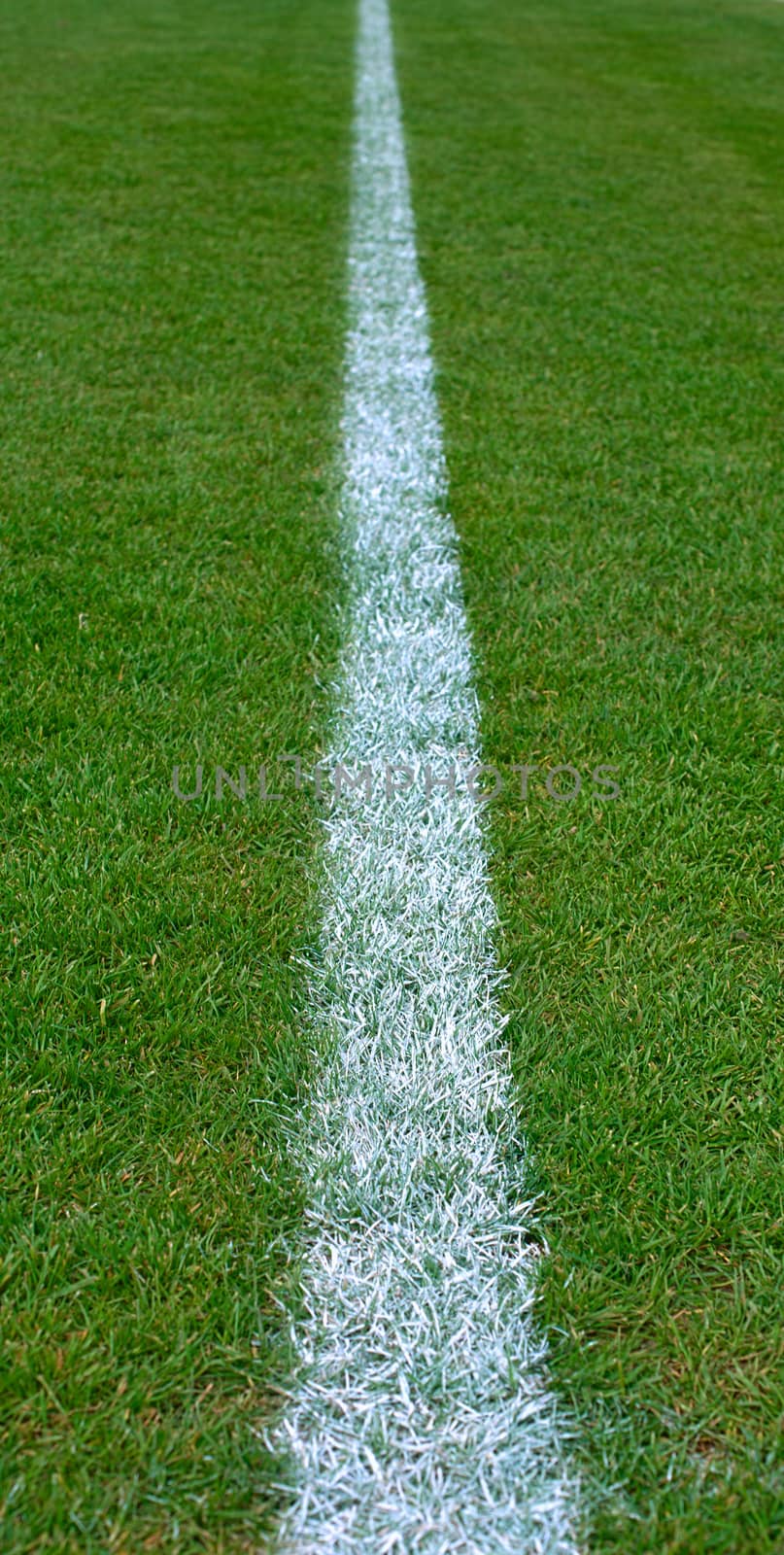 Painted white line on empty soccer grass field