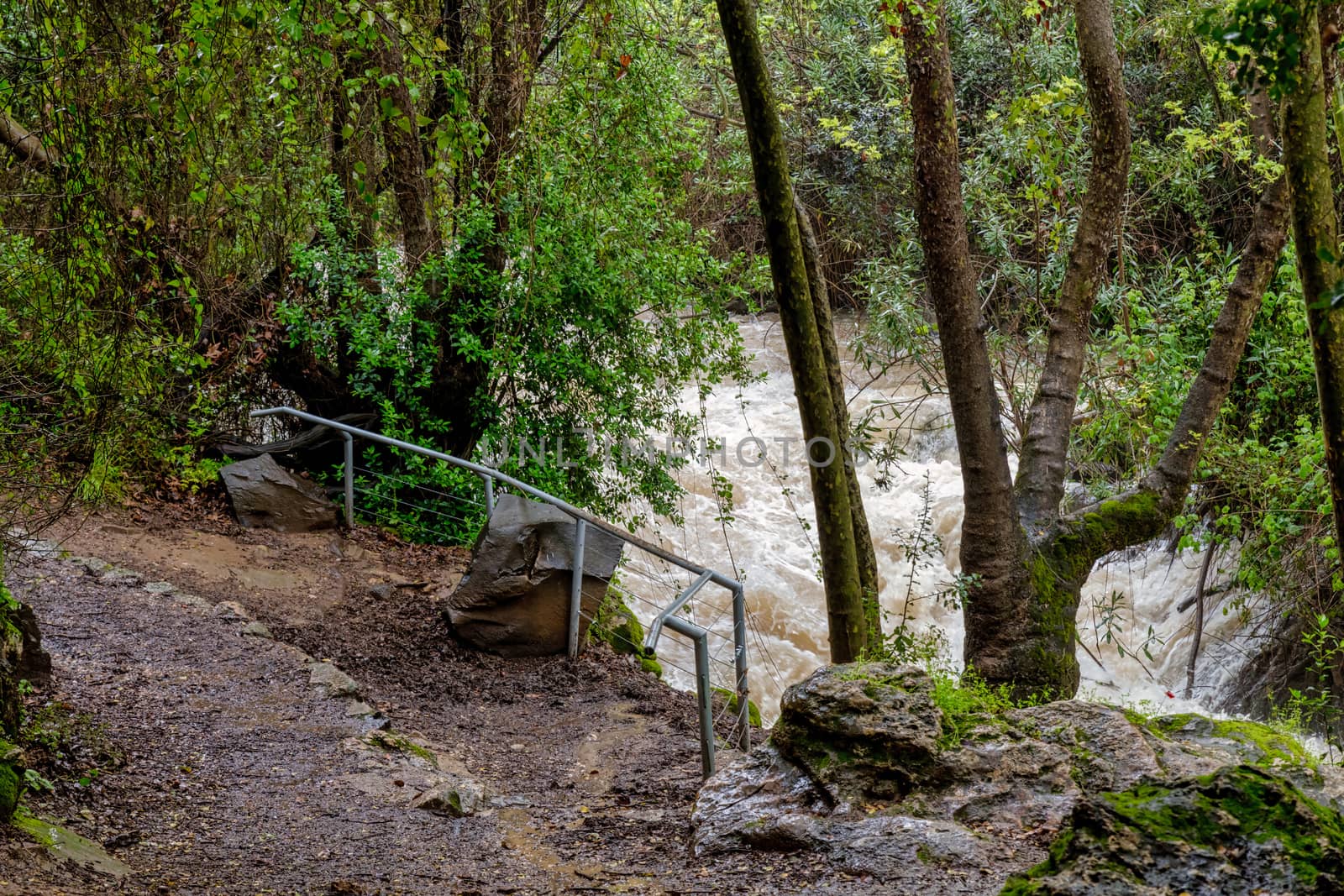 Waterfall in the Banias Nature Reserve in northern Israel