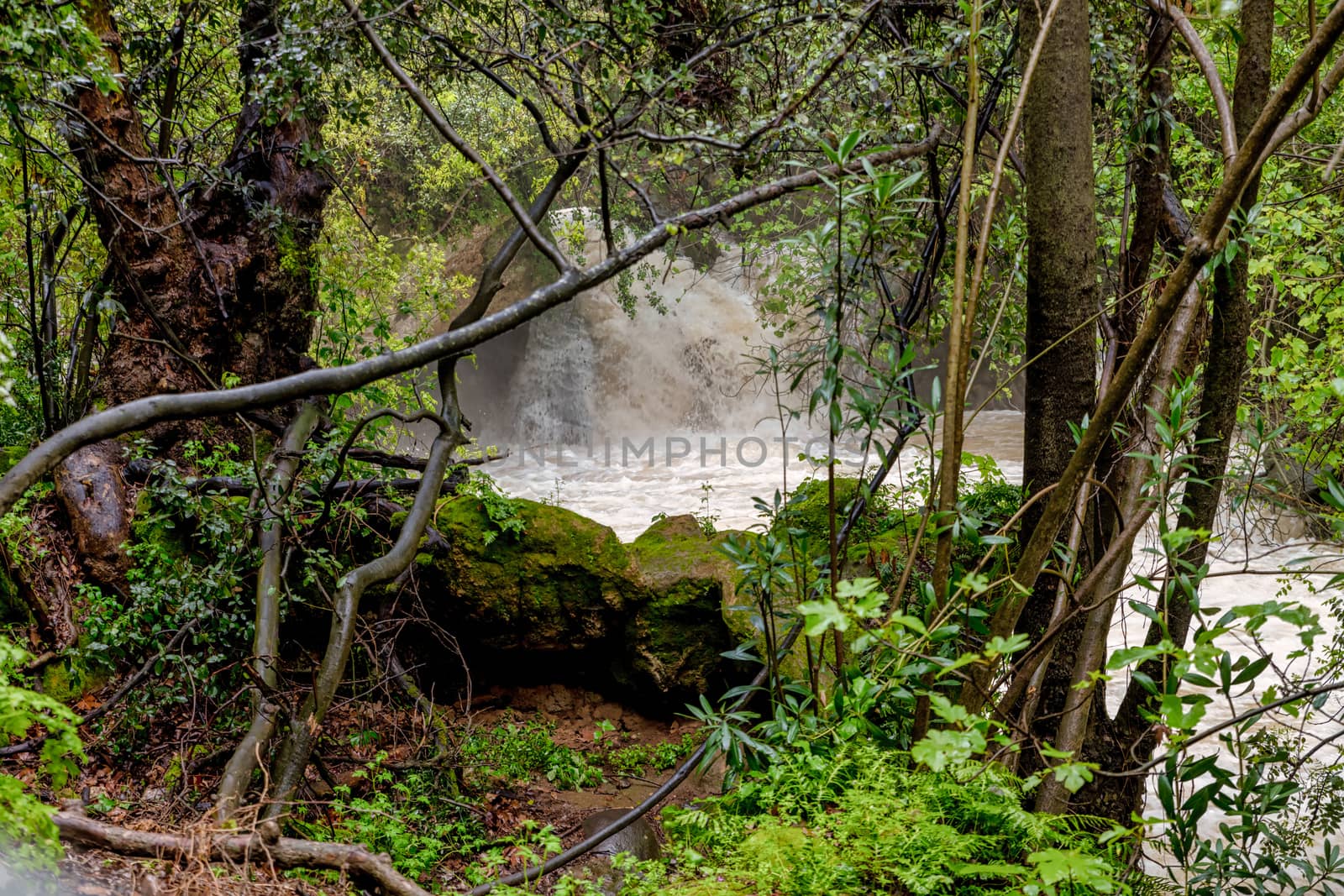 Waterfall in the Banias Nature Reserve in northern Israel