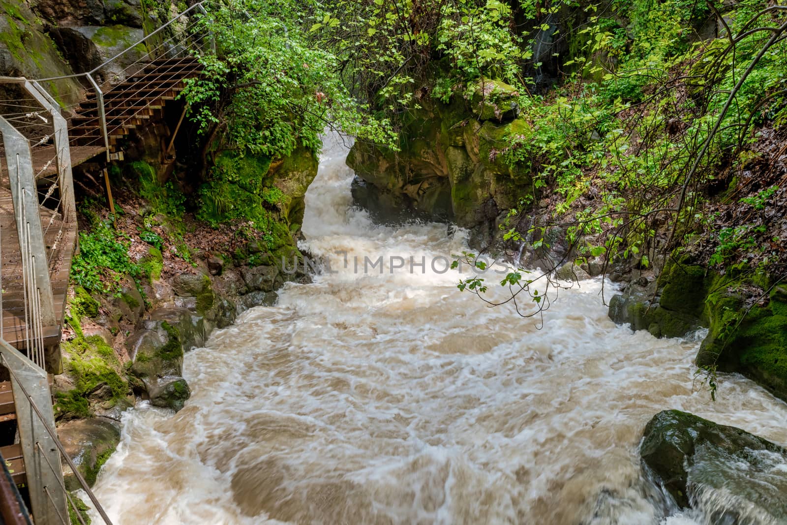 Banias river at north of Israel, flowing over rocks