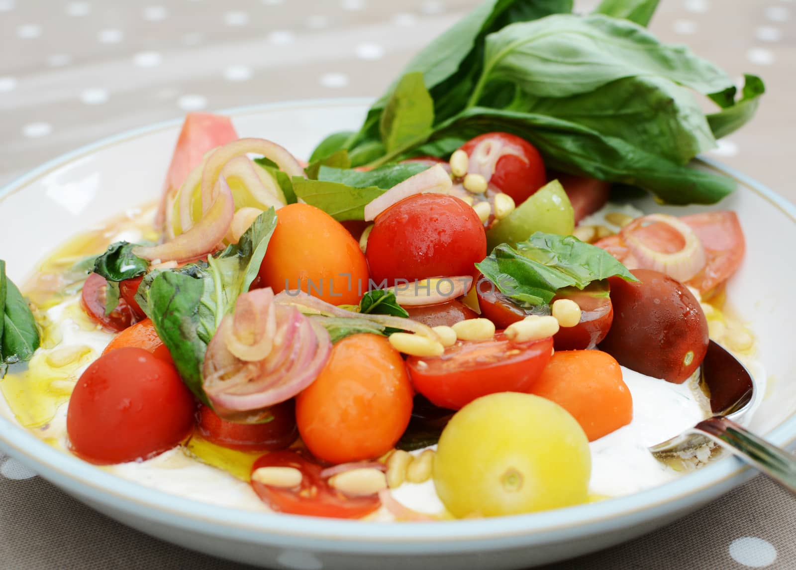 Mixed tomato salad with colourful cherry tomatoes, pine nuts and basil leaves, dressed with mascarpone and olive oil