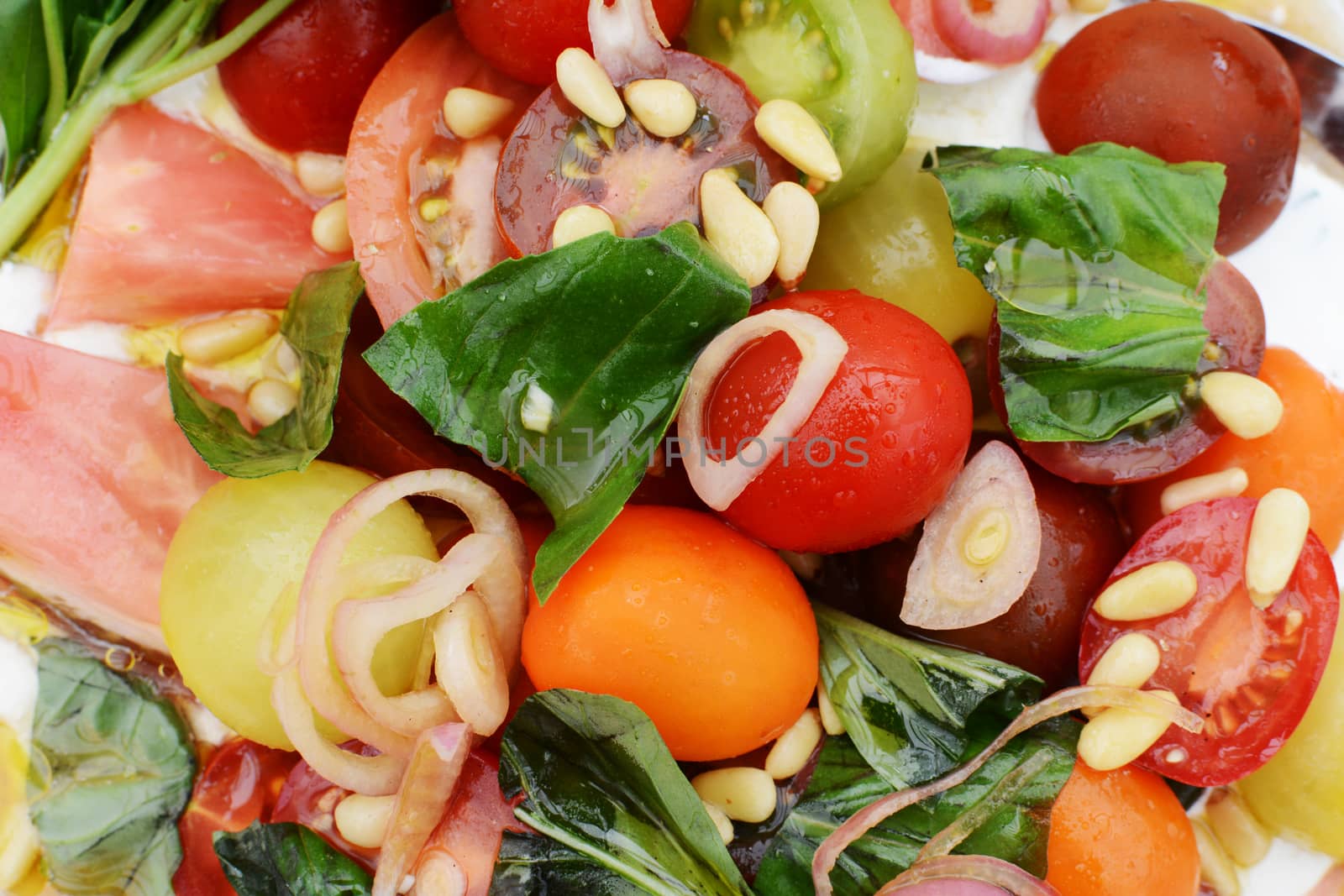 Detail of colourful fresh tomato salad with sliced shallots, pine nuts and basil leaves