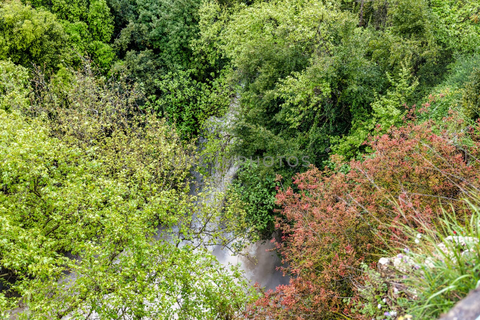 Banias river at north of Israel, flowing over rocks