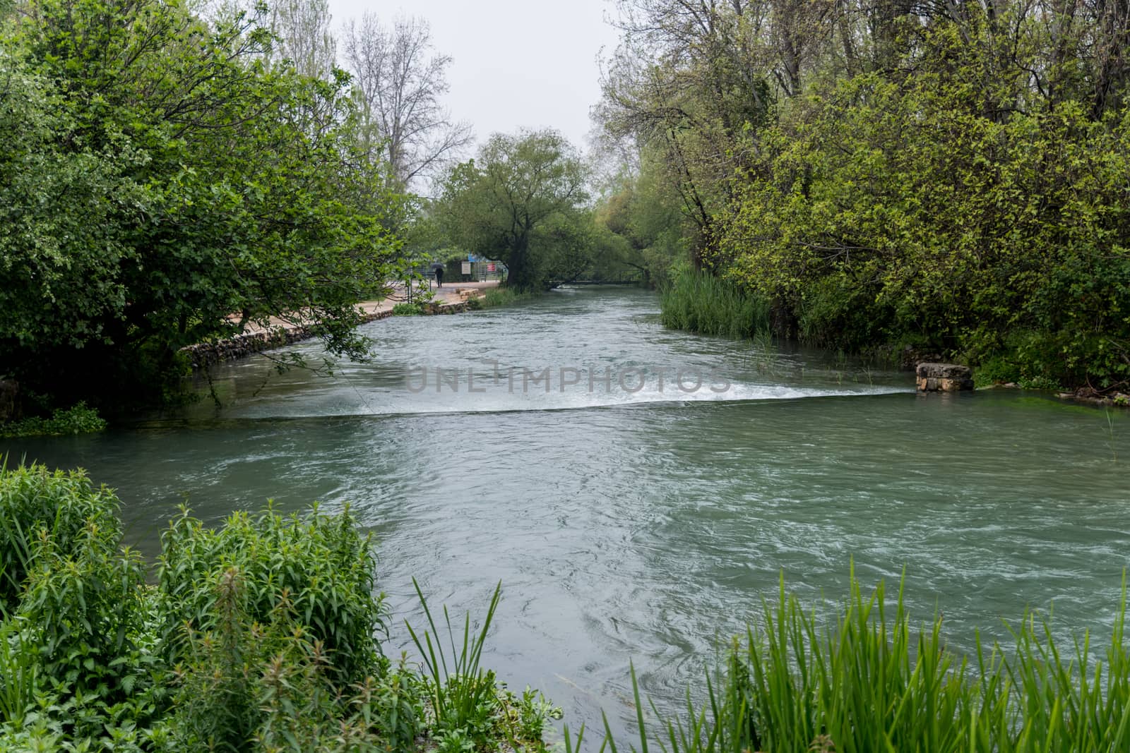 In the background of the Banias Spring is Pan's Cave, where the waterway originated in ancient times