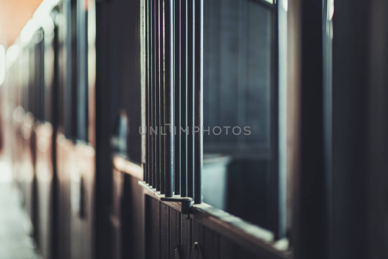 Horse Boxes in a Stable by welcomia