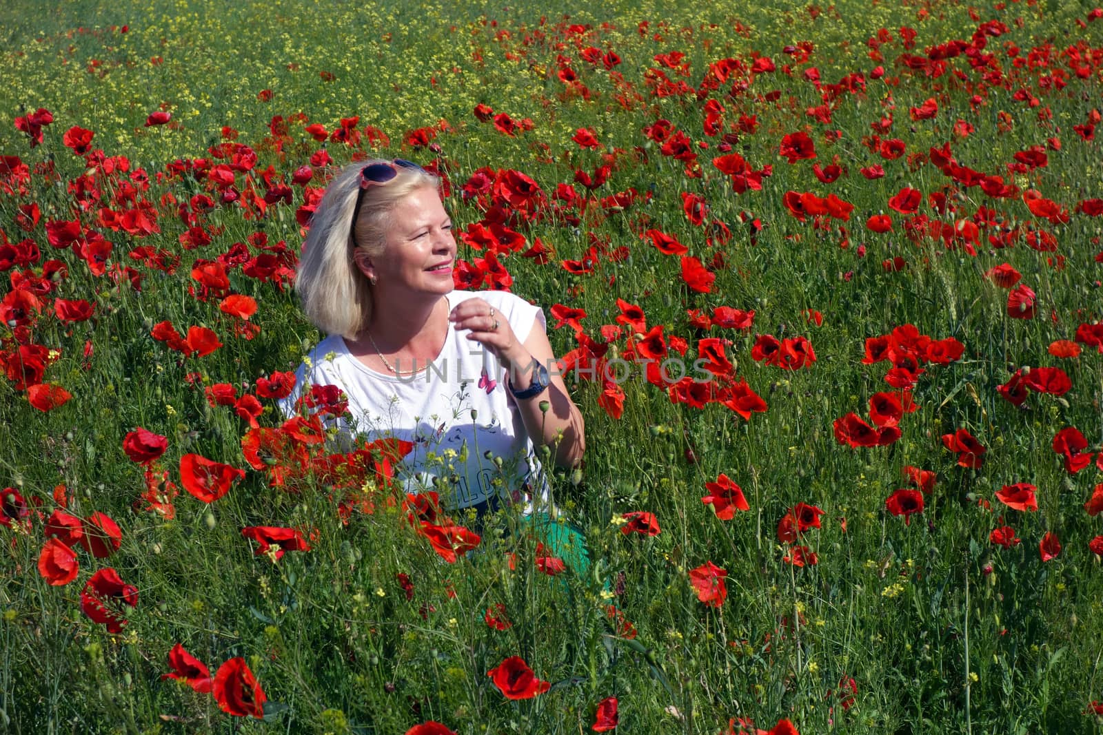 The Romanian Plain at the beginning of the summer.
Carpets poppy cover the wheat fields
A woman stopped to enjoy the image of the poppy in the fields of green wheat