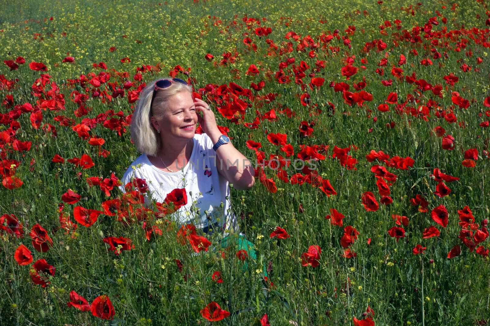 The Romanian Plain at the beginning of the summer.
Carpets poppy cover the wheat fields
A woman stopped to enjoy the image of the poppy in the fields of green wheat