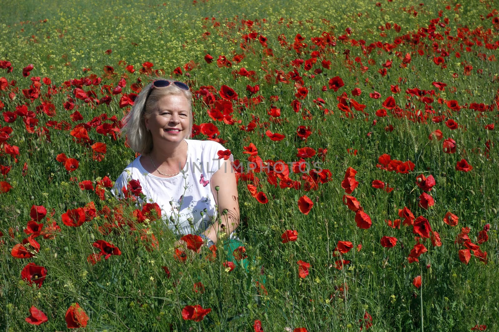 The Romanian Plain at the beginning of the summer.
Carpets poppy cover the wheat fields
A woman stopped to enjoy the image of the poppy in the fields of green wheat