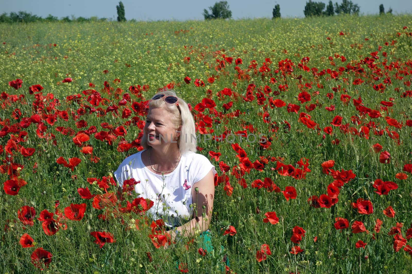 The Romanian Plain at the beginning of the summer.
Carpets poppy cover the wheat fields
A woman stopped to enjoy the image of the poppy in the fields of green wheat