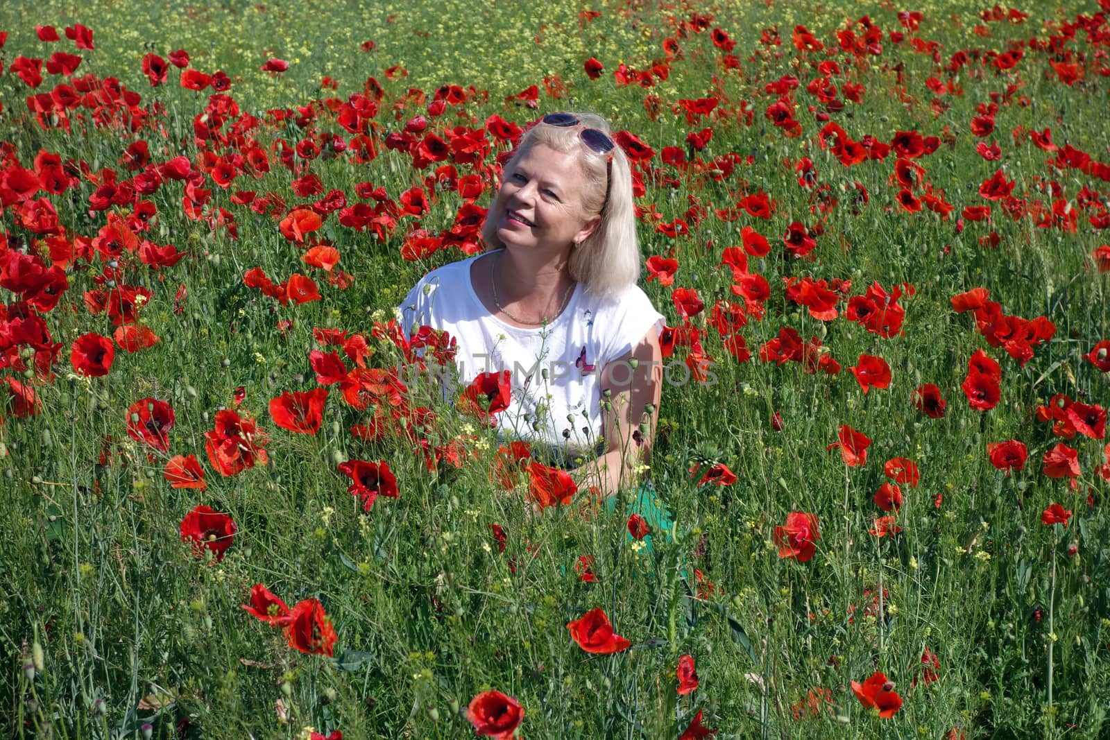 The Romanian Plain at the beginning of the summer.
Carpets poppy cover the wheat fields
A woman stopped to enjoy the image of the poppy in the fields of green wheat