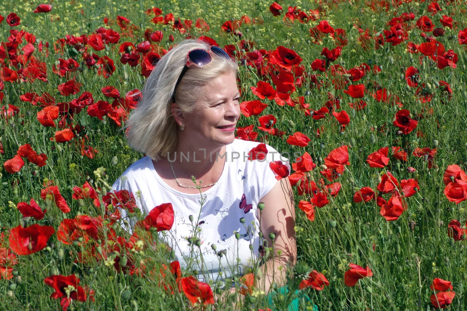 The Romanian Plain at the beginning of the summer.
Carpets poppy cover the wheat fields
A woman stopped to enjoy the image of the poppy in the fields of green wheat