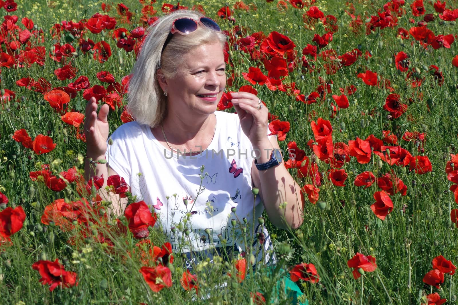 The Romanian Plain at the beginning of the summer.
Carpets poppy cover the wheat fields
A woman stopped to enjoy the image of the poppy in the fields of green wheat