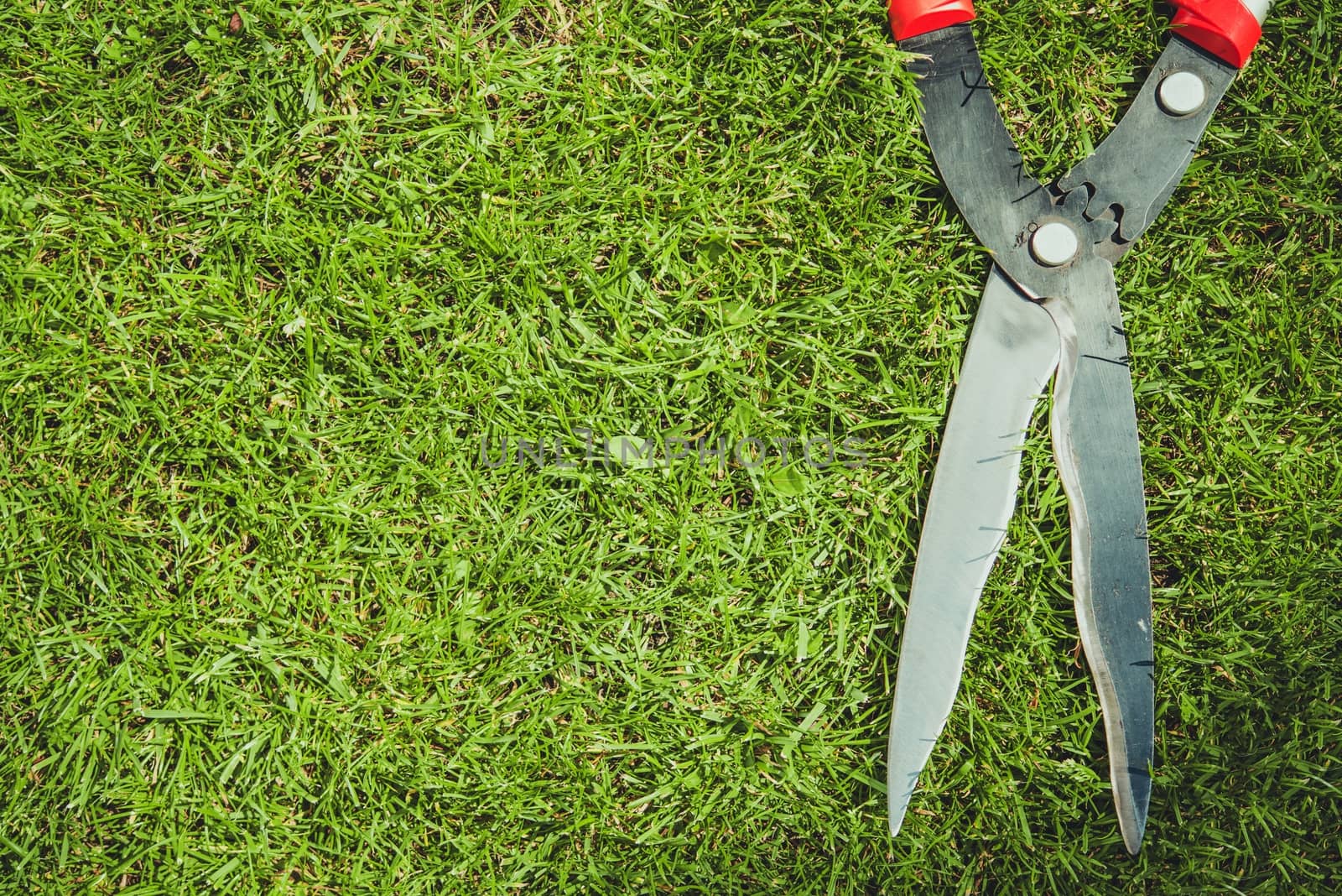 Garden Scissors on the Grassy Background. Closeup Photo. Gardening Theme.
