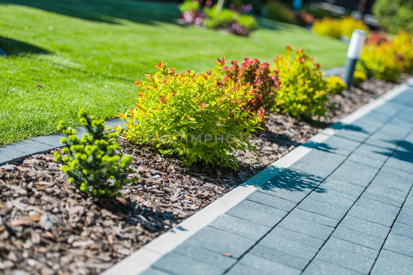 Garden Brick Path Closeup. Newly Designed and Created Residential Garden.