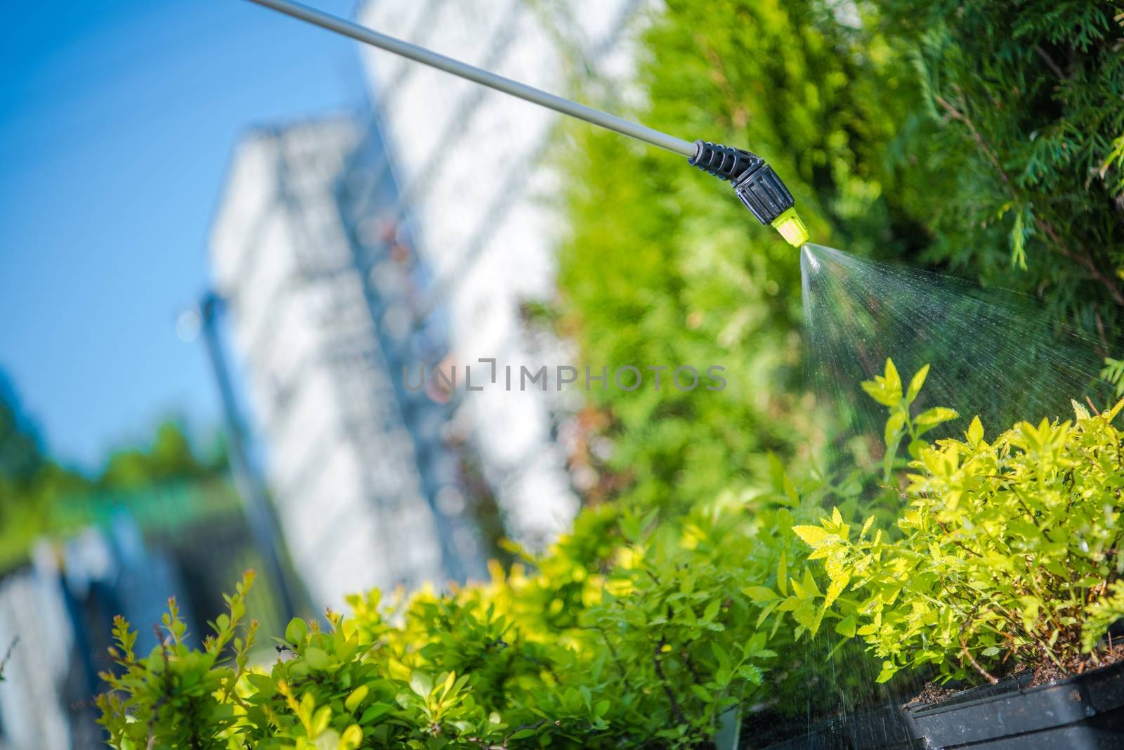 Garden Plants Insecticide Closeup Photo. Spring Garden Maintenance.