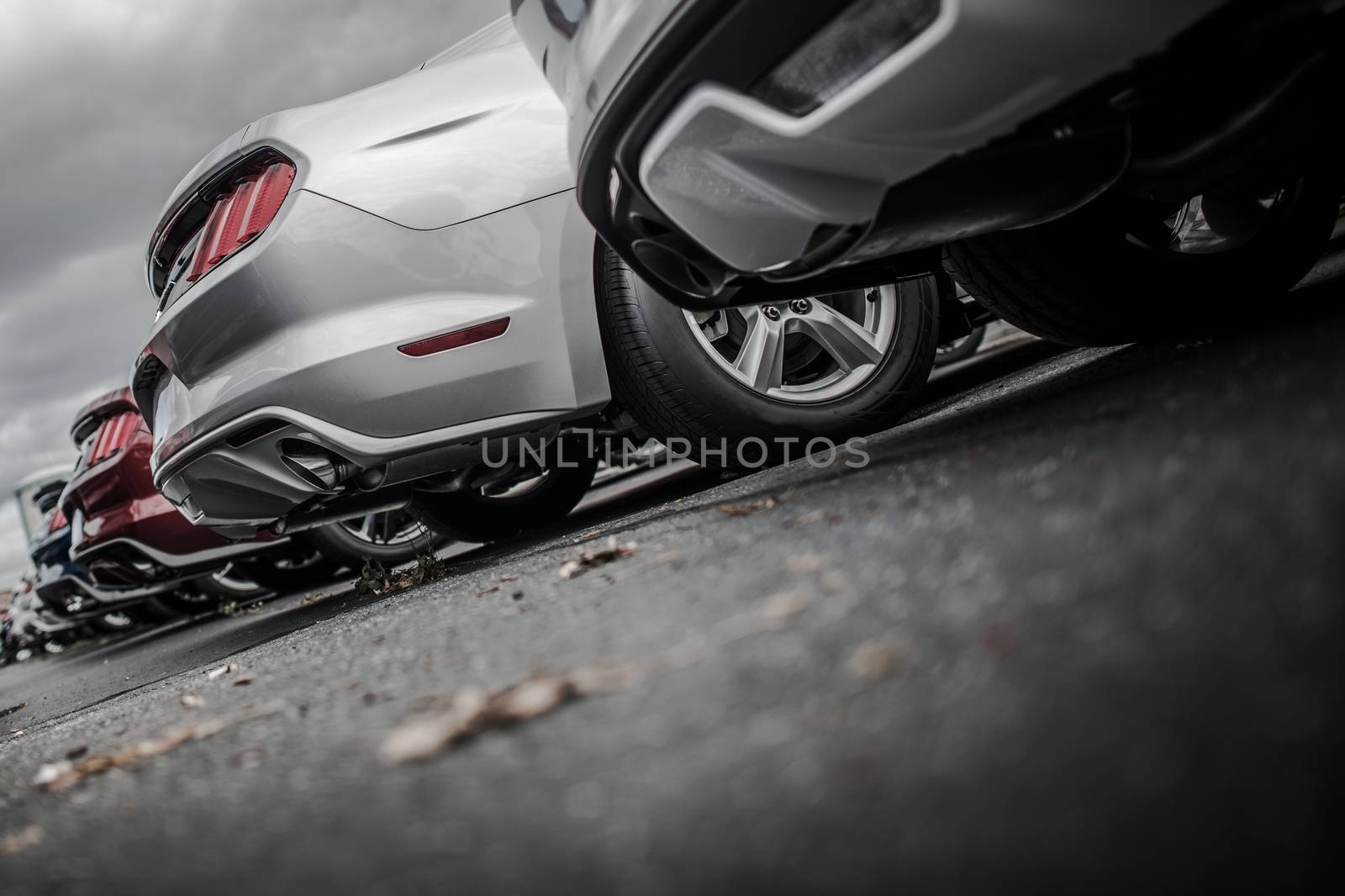 Brand New Vehicles For Sale on the Dealership Parking. Modern Sporty Cars. Automotive Theme.