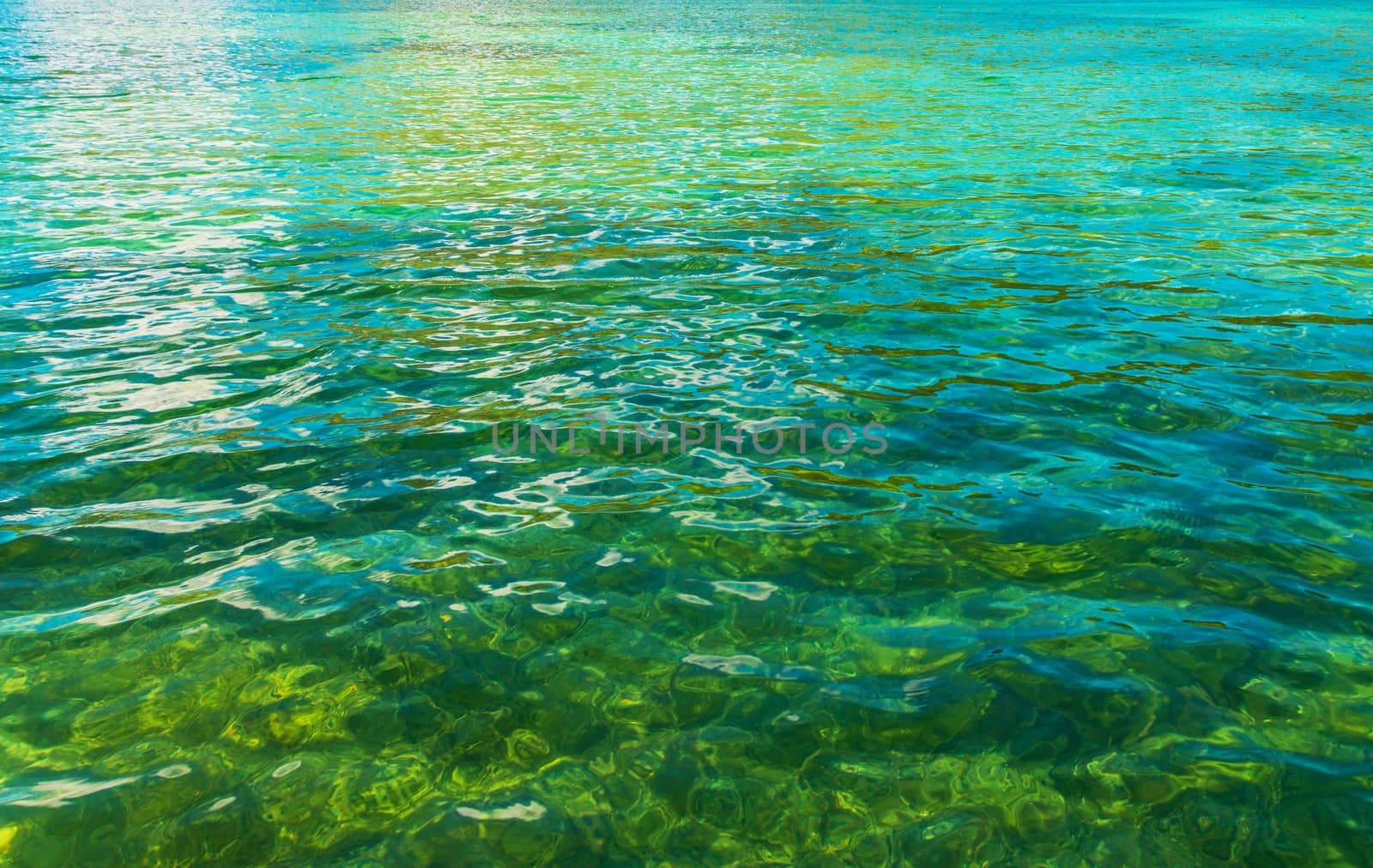 Crystal Clear Lake Water Closeup Photo. Nature Background Photo