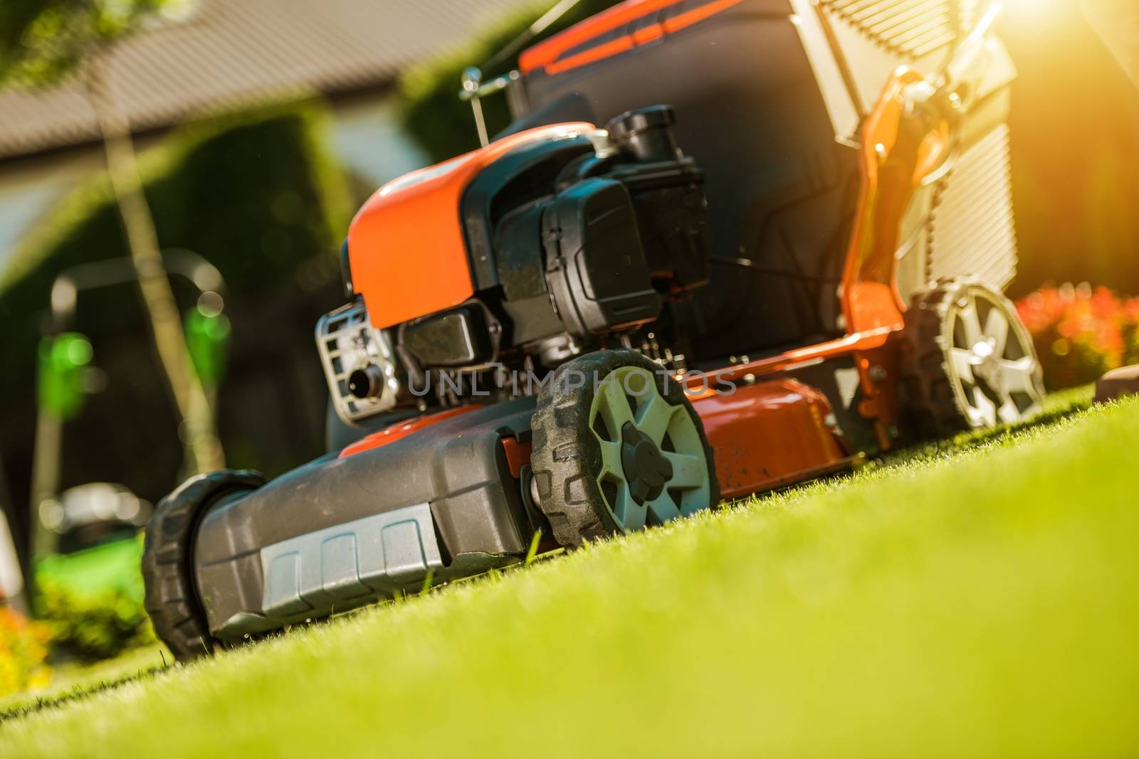 Grass Field Mowing Using Gasoline Mower. Closeup Photo.