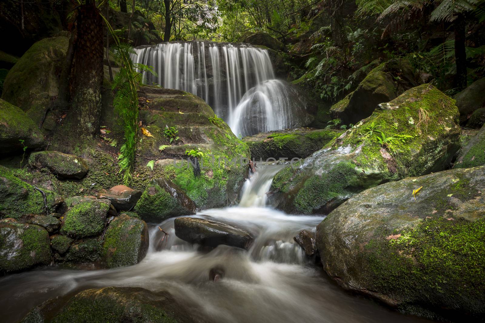 A hike to a  spectacular flowing waterfall through the Blue Mountains at Leura