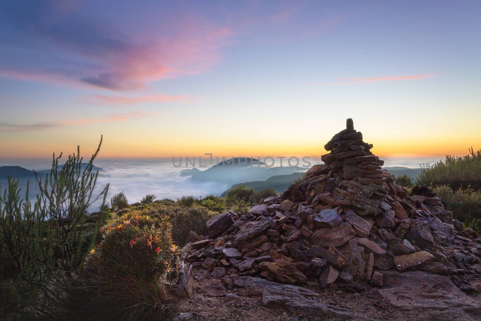 Lockleys Pylon located in Blue Mountains near Leura about 1 hour bushwalk to a tall raised bluff on the cliff ledge where two valleys meet.  here each visitor will add a rock to the pile.  The valleys below filled with a dense river of fog and some light high clouds colour up with the sun soon to rise.