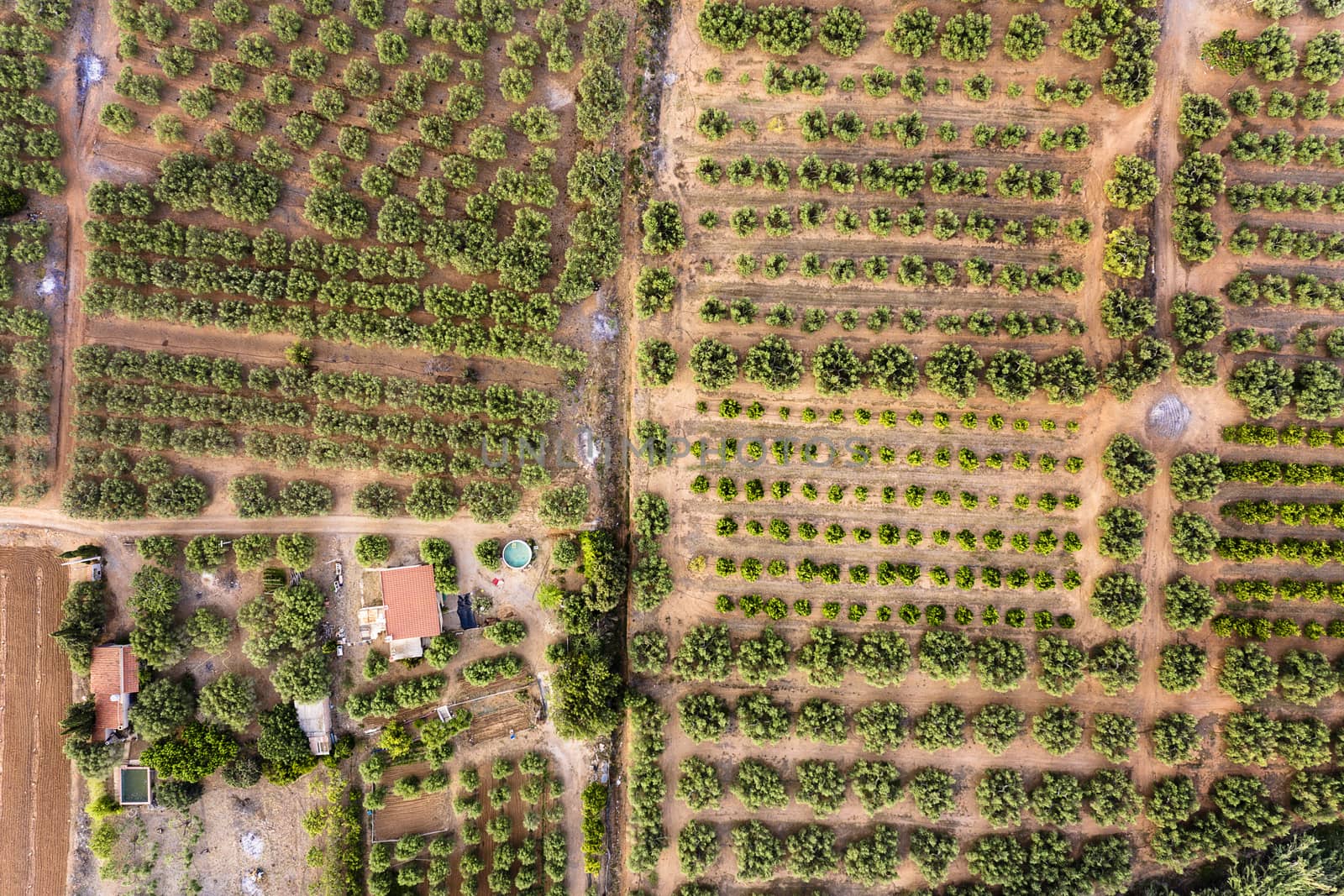 top view of different crop fields of a farm and its plantation, field background agricultural industry aerial view