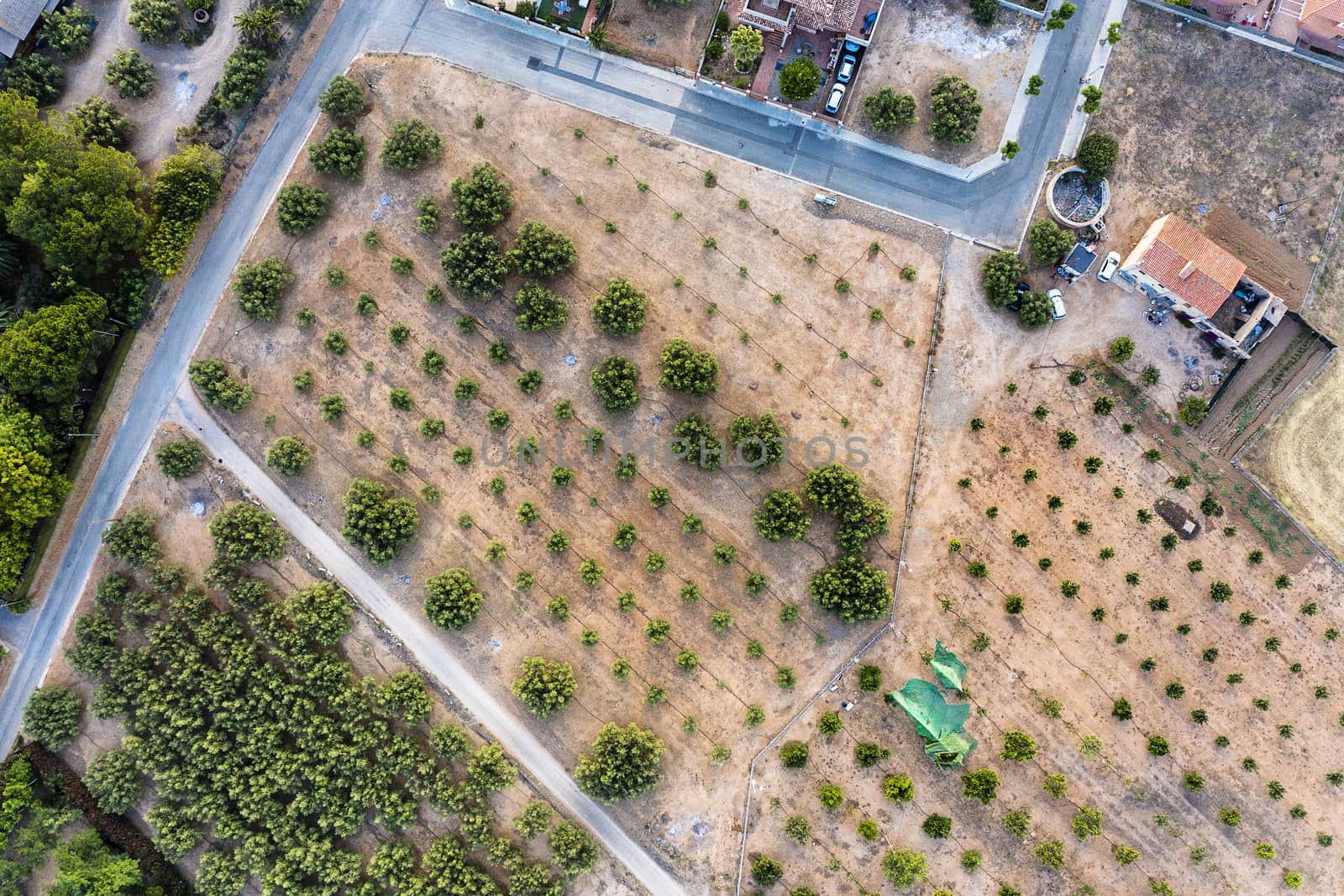 top view of a farm and its crops, field background agricultural industry aerial view