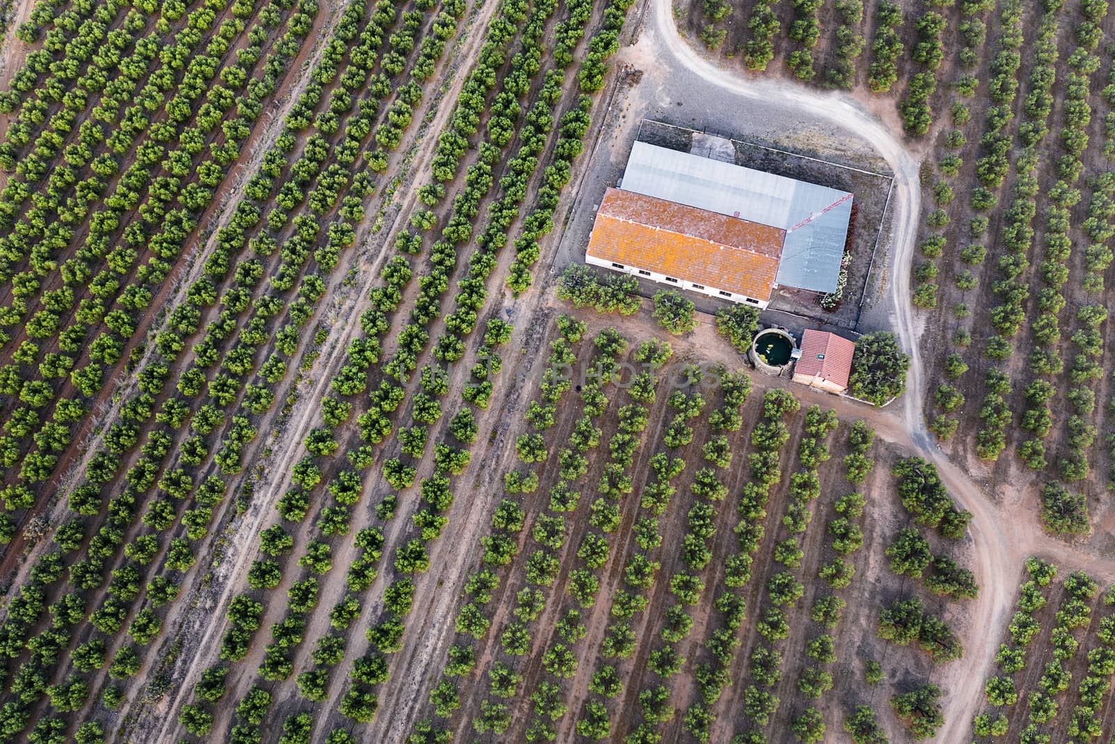 top view of a farm and its plantation, field background agricultural industry aerial view