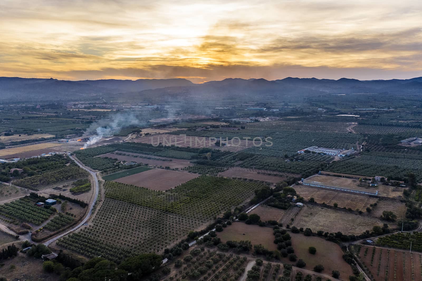 top view of fields and plantations at sunset near of the mountains in Tarragona, green field agriculture industry aerial view