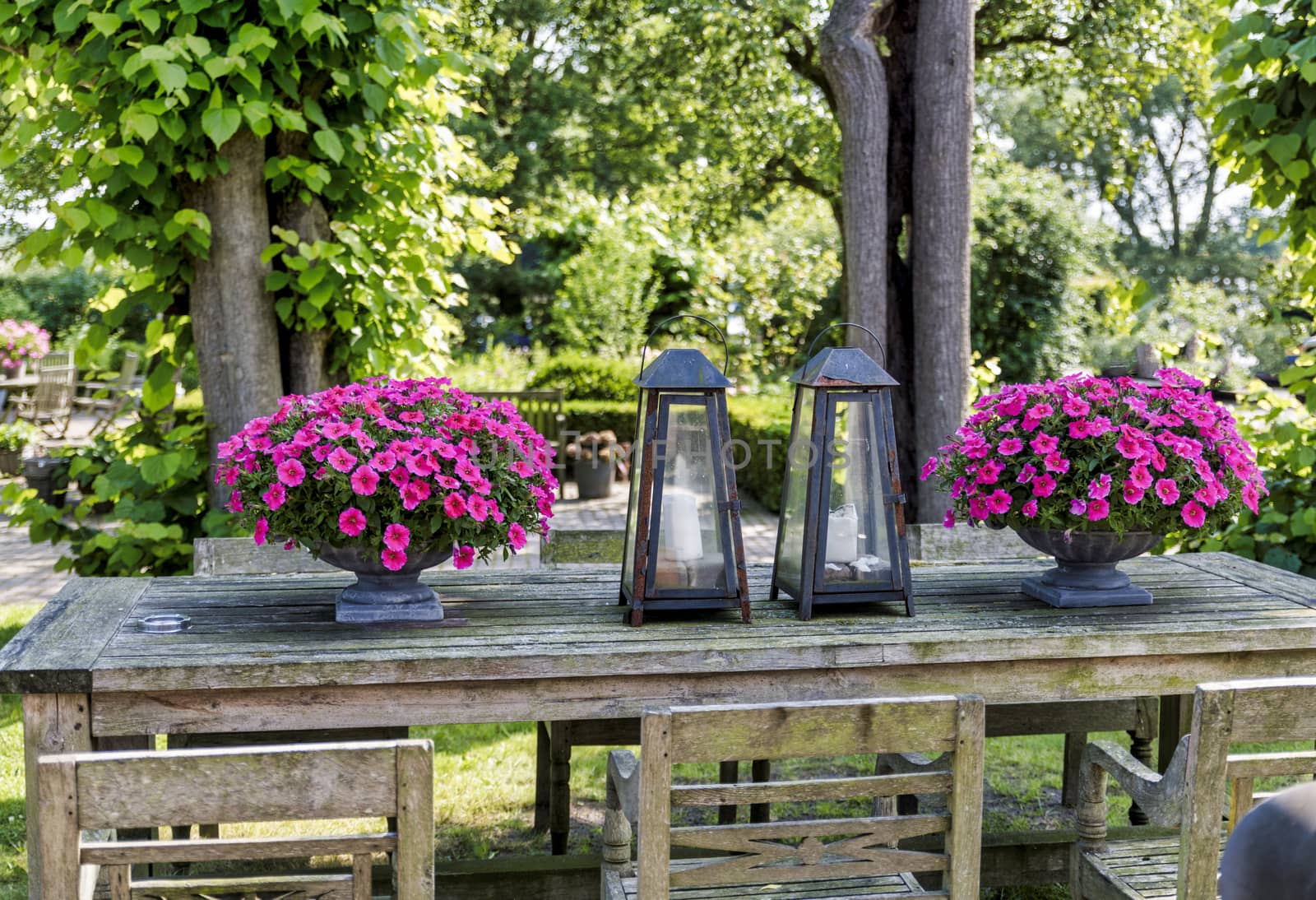 wooden table with chairs with vases with petunias and beautiful old metal lamps in an English garden with greenery and trees