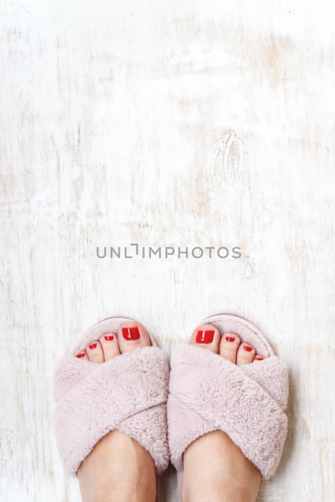 female legs with red nails in home fur fluffy pink slippers on a by Tanacha