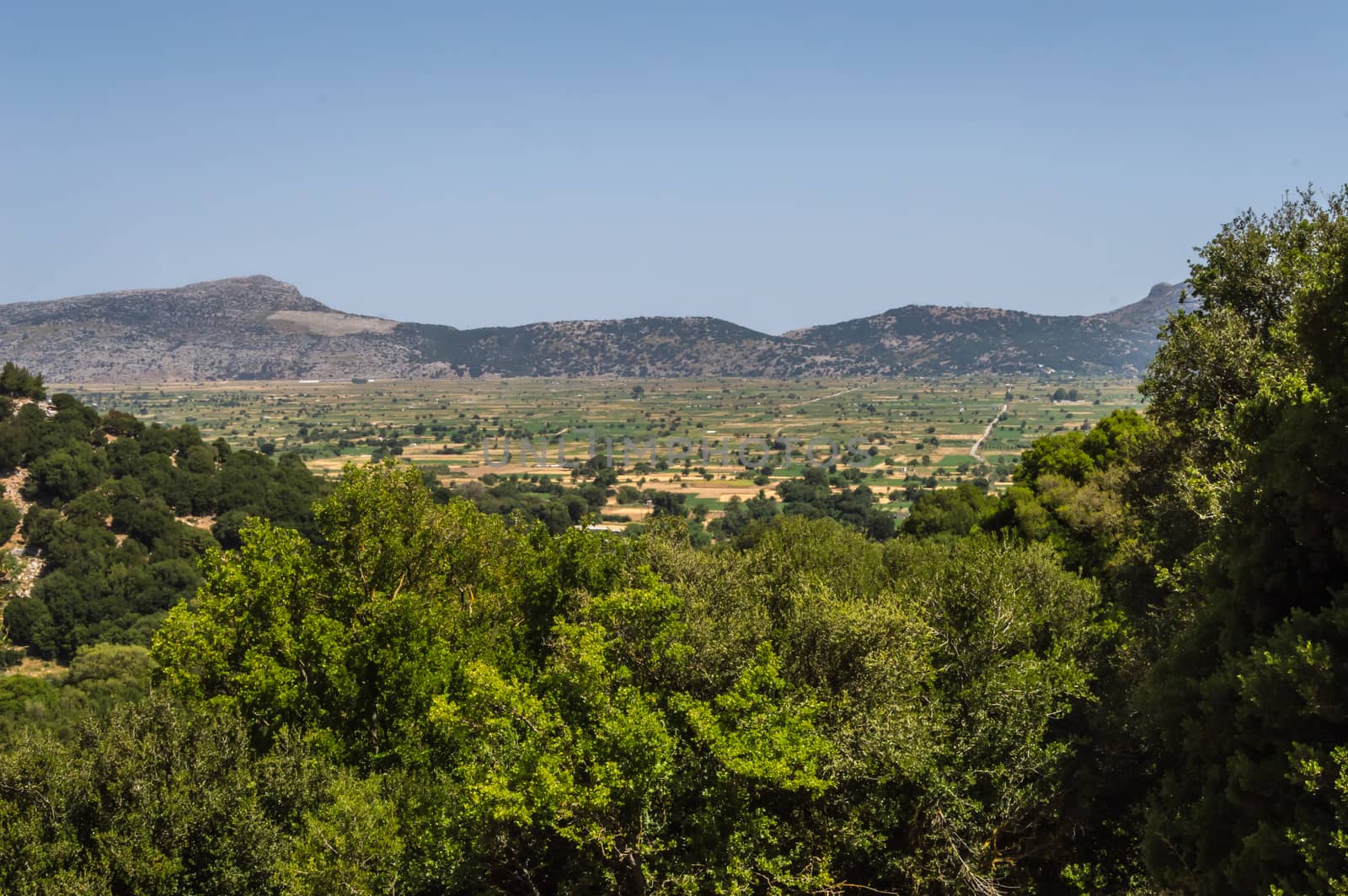 View of the fertile Lassithi Plateau in Crete.  by Philou1000