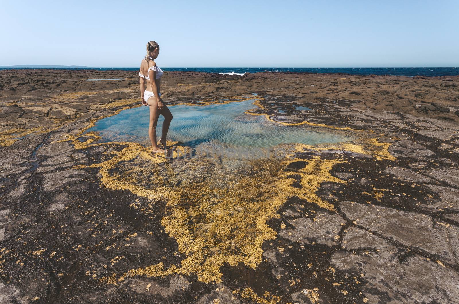 A woman stands by a small rockpool on the coastal rock shelf which is lined with a pretty yellow seaweed.